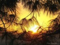 /album/albe-tramonti/albe-e-tramonti-32-jpg/